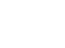 Logo Arena Silicea